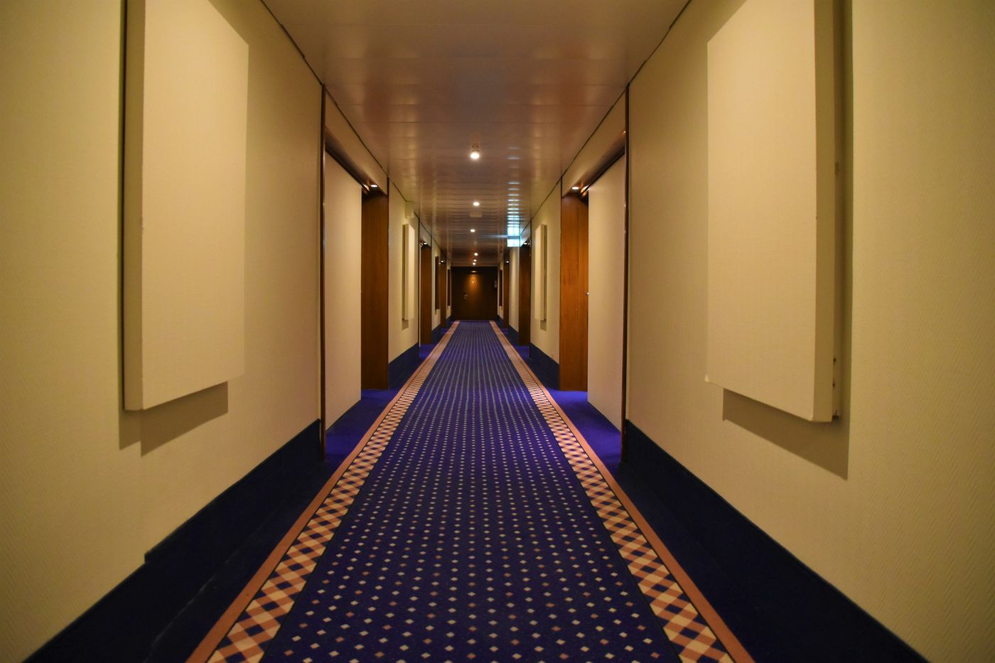 A long hotel corridor with a patterned carpet runner