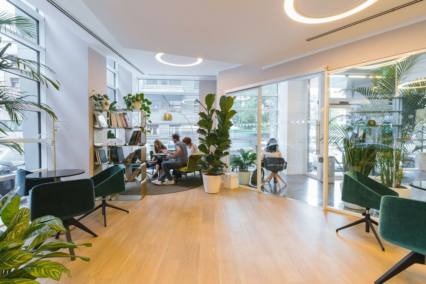 A bright office lounge with plants, light wood floors and green chairs