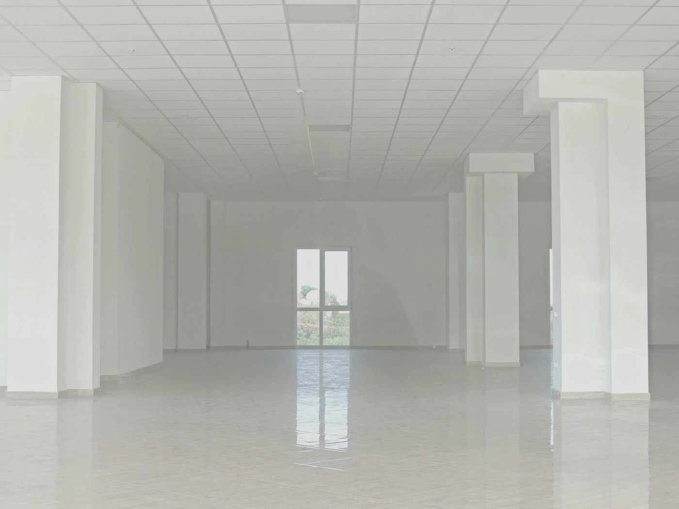 An empty new interior with white columns, a ceiling grid and a glossy tile floor